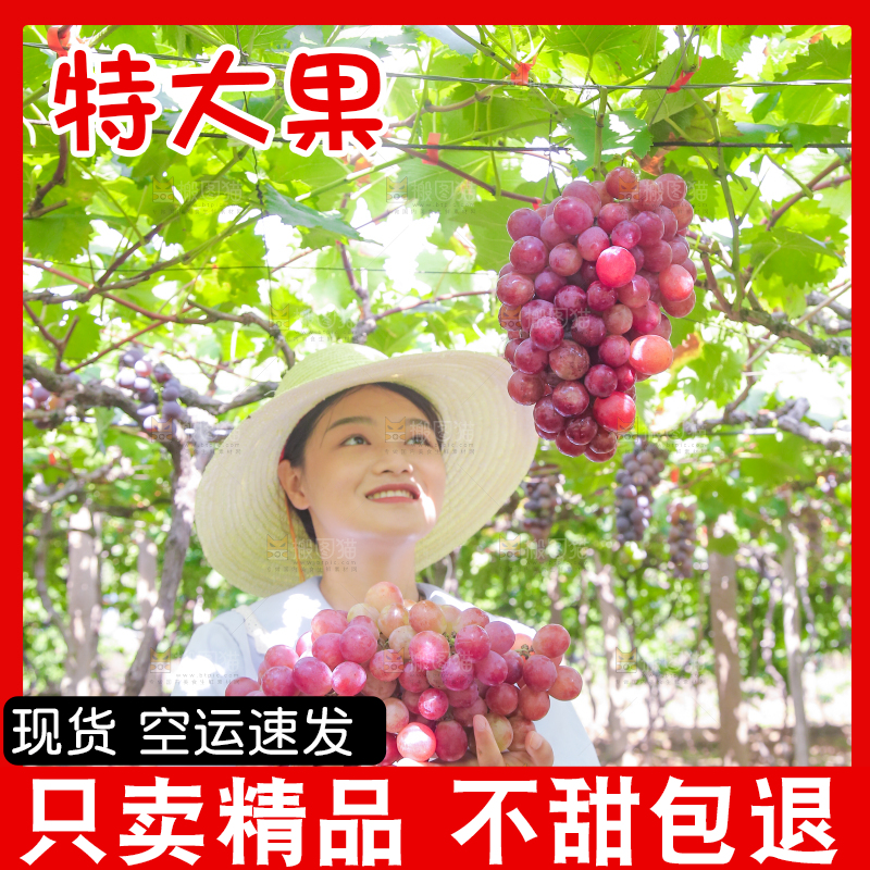 手里拿着新鲜葡萄