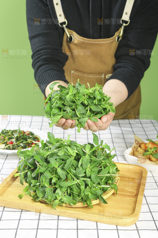 浅底上的新鲜薄荷