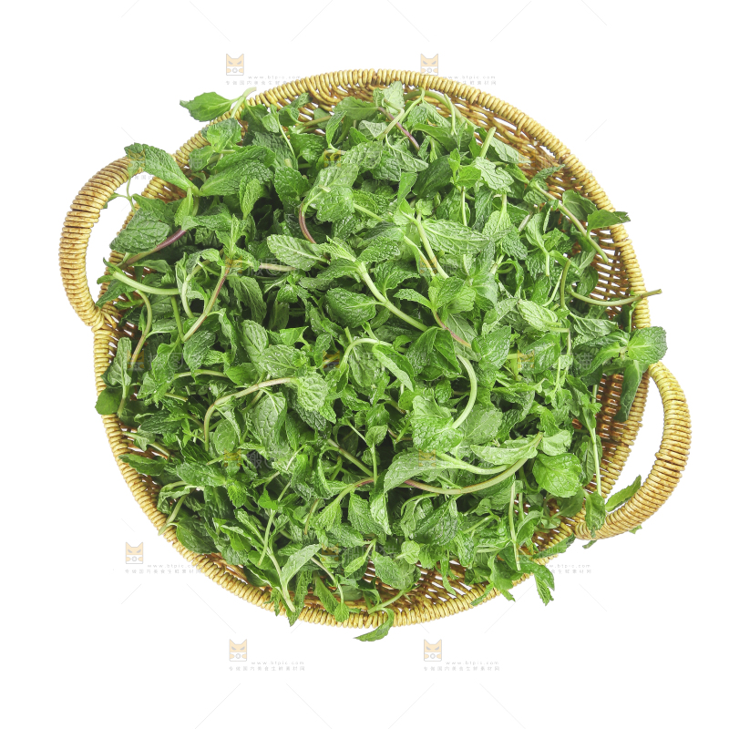 白底上的新鲜薄荷