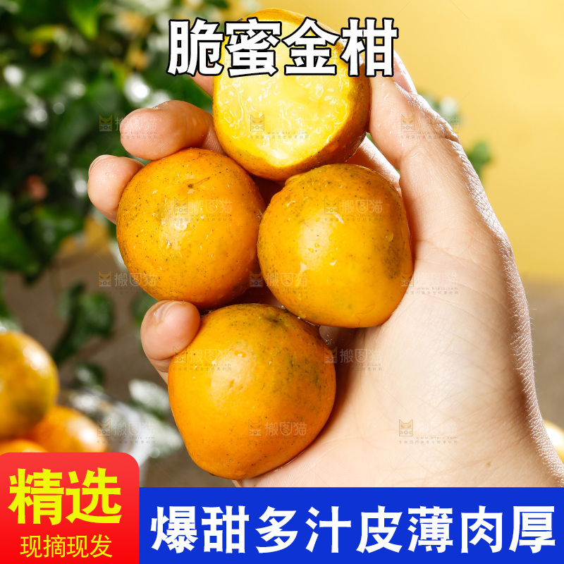 深底上的金柑