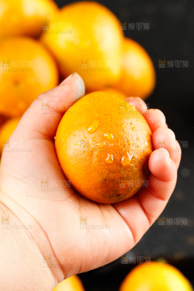深底上的金柑