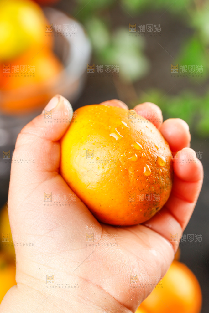 深底上的金柑