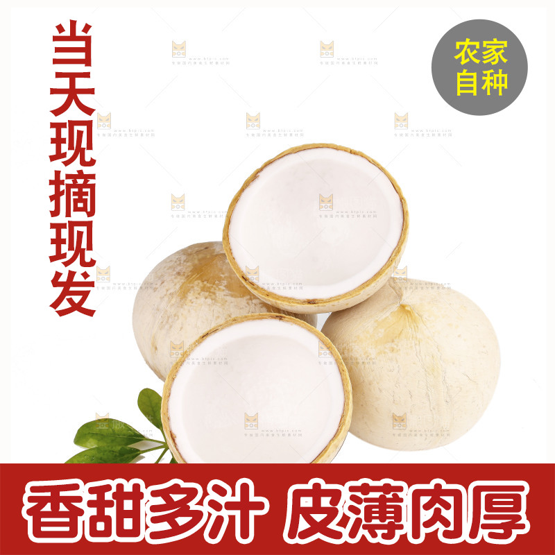 白底上的牛奶椰皇
