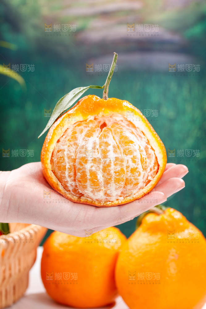 浅底上的春见耙耙柑