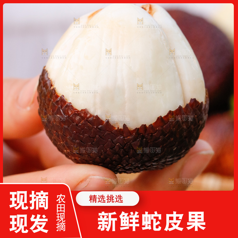 手里拿着蛇皮果