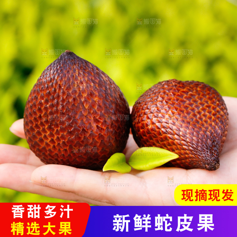 手里拿着蛇皮果