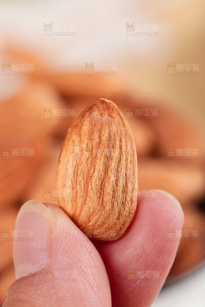 浅底上的巴旦木仁