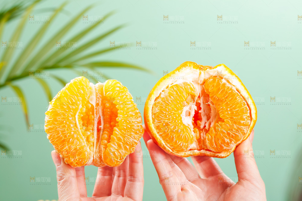 浅底上的春见耙耙柑