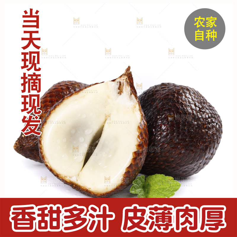 白底上的蛇皮果