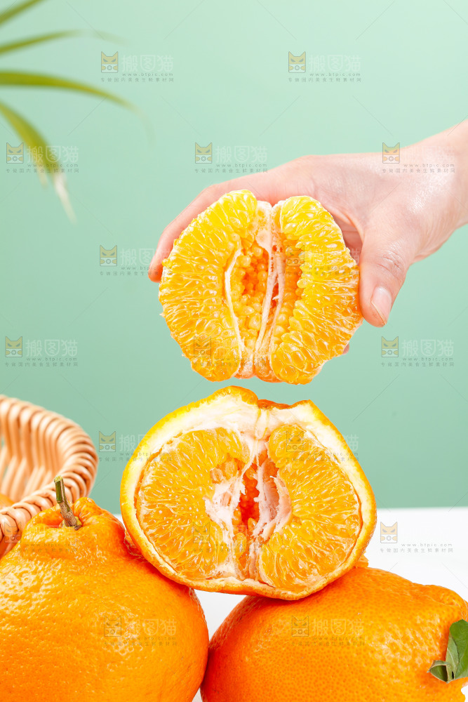 浅底上的春见耙耙柑