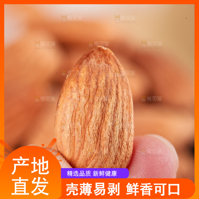 浅底上的巴旦木仁