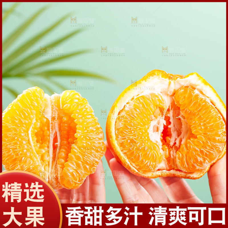 浅底上的春见耙耙柑