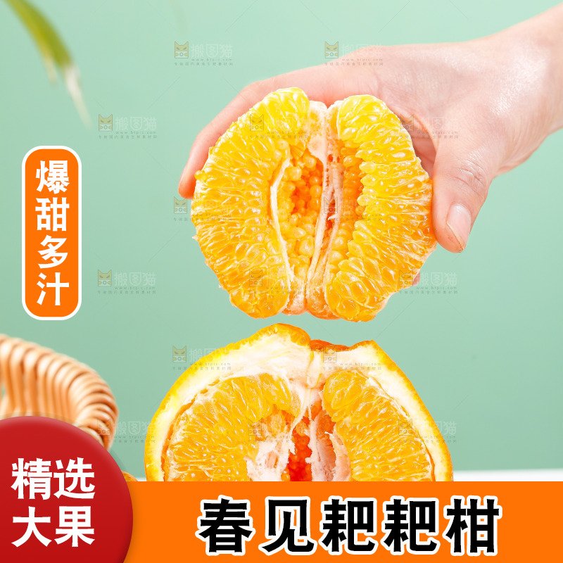 浅底上的春见耙耙柑
