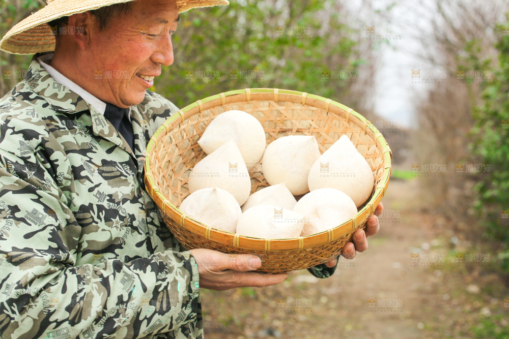 手里拿着牛奶椰皇