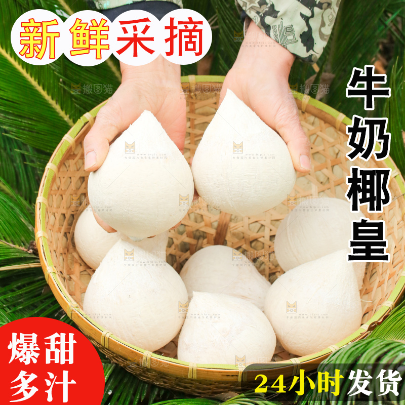 手里拿着牛奶椰皇