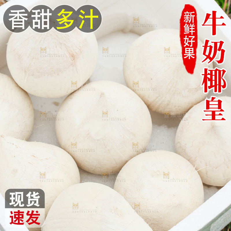 手里拿着牛奶椰皇