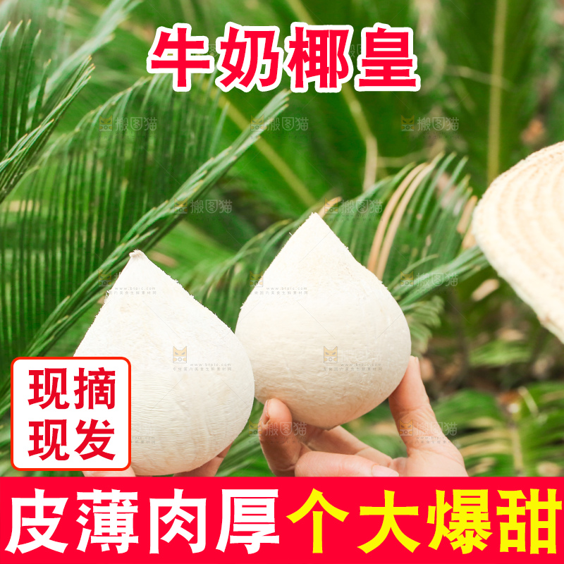 手里拿着牛奶椰皇