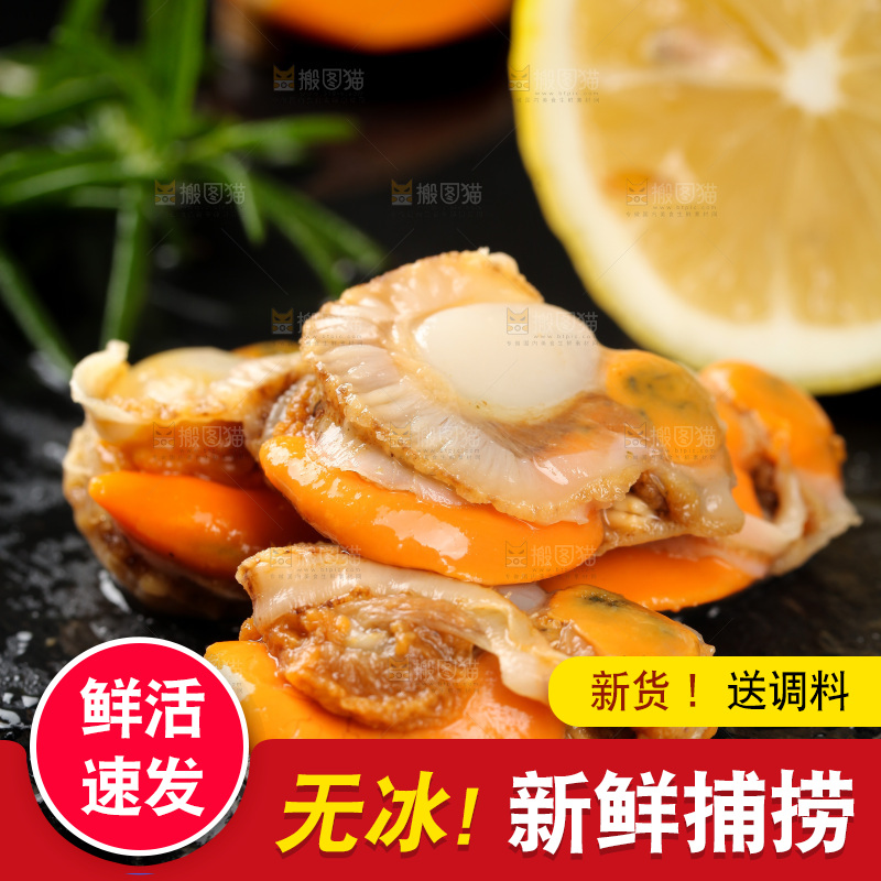 深底上的带黄扇贝肉