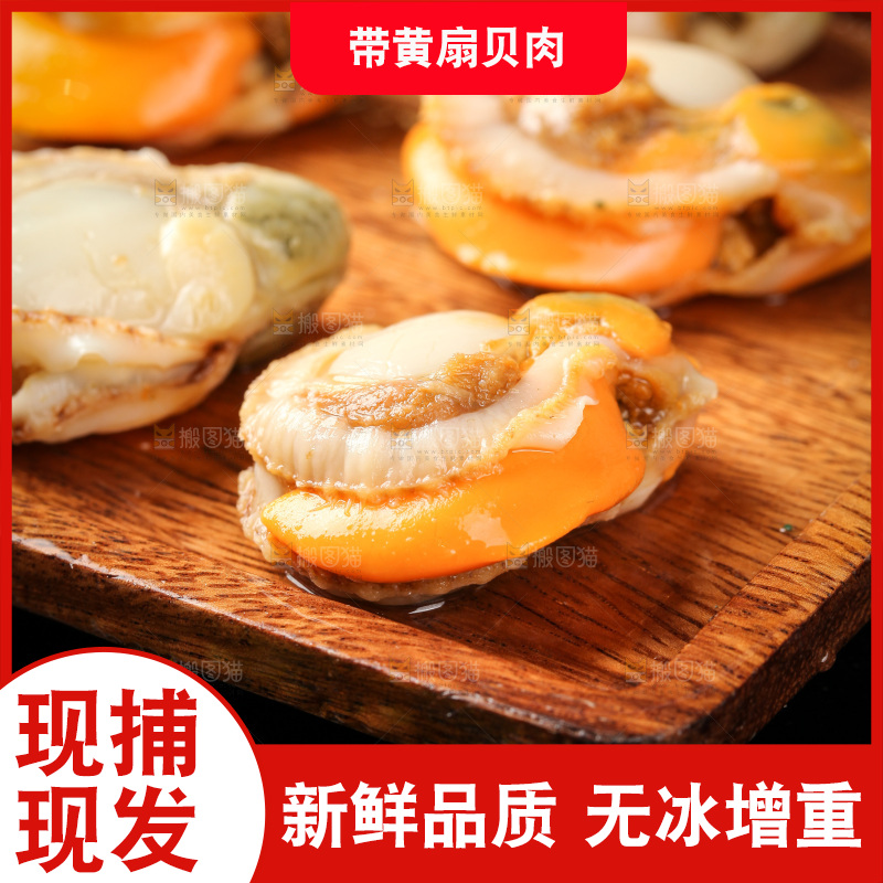 深底上的带黄扇贝肉