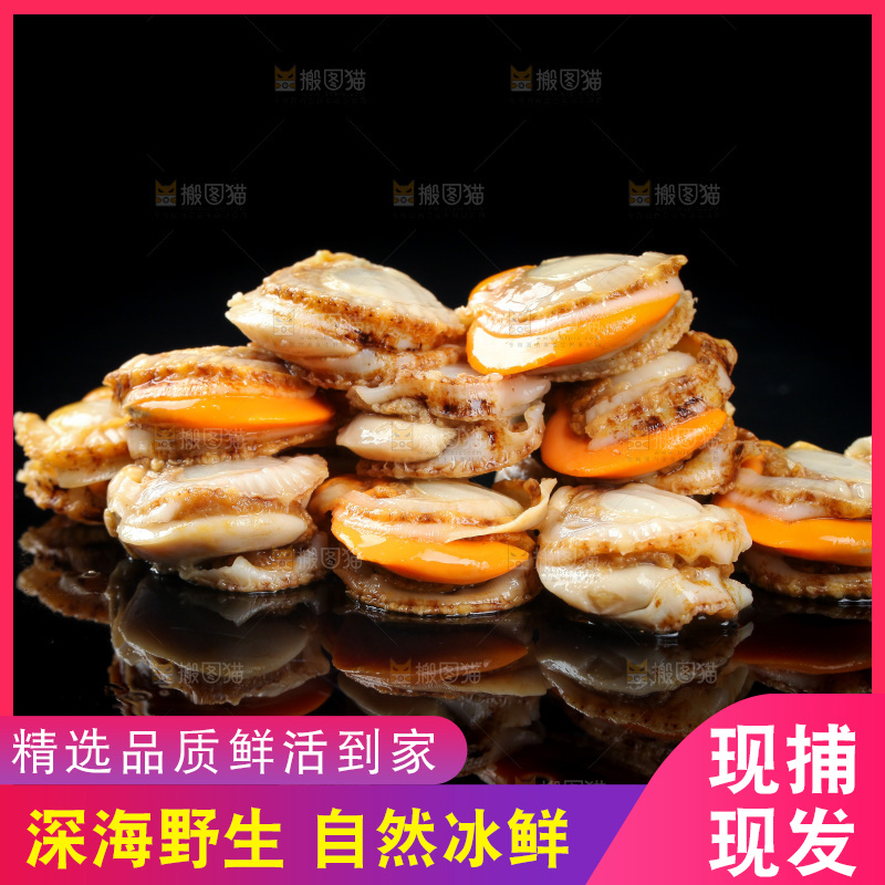 深底上的带黄扇贝肉