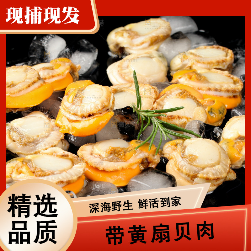 深底上的带黄扇贝肉