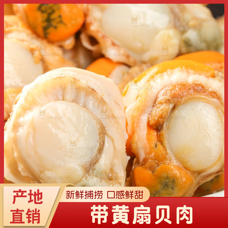 深底上的带黄扇贝肉