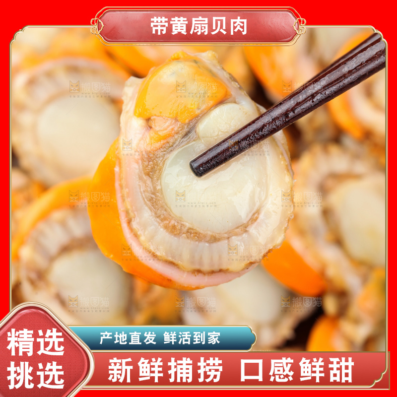 深底上的带黄扇贝肉