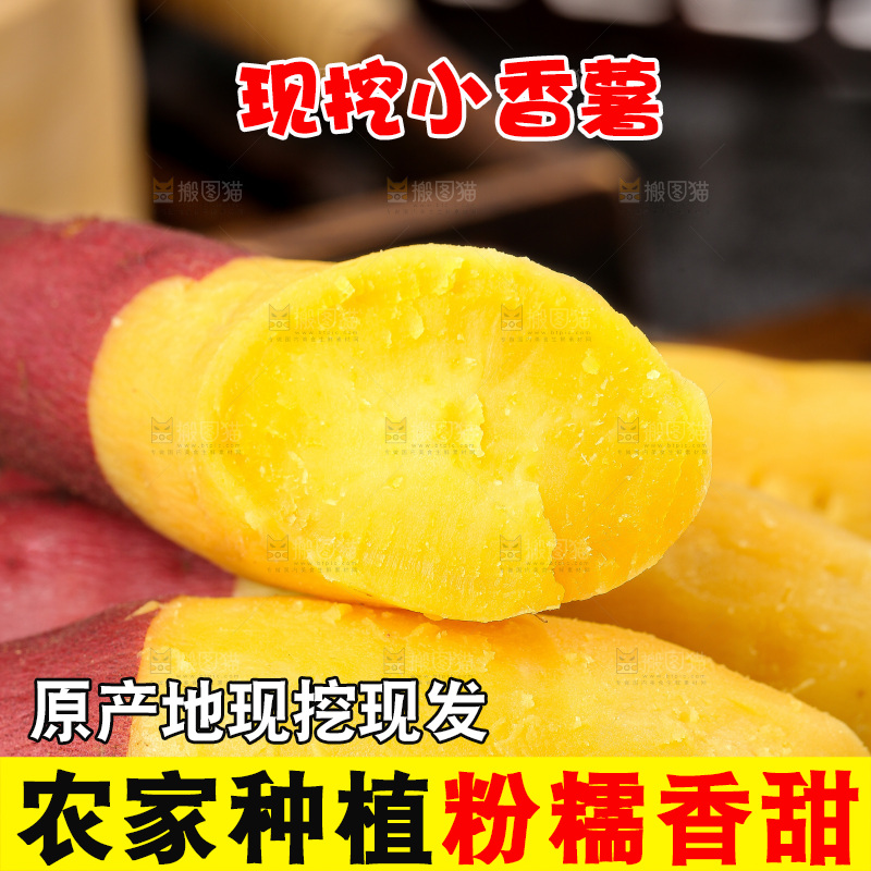 深底上的天目山小香薯