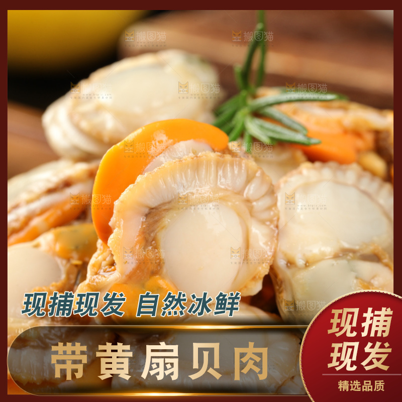 深底上的带黄扇贝肉