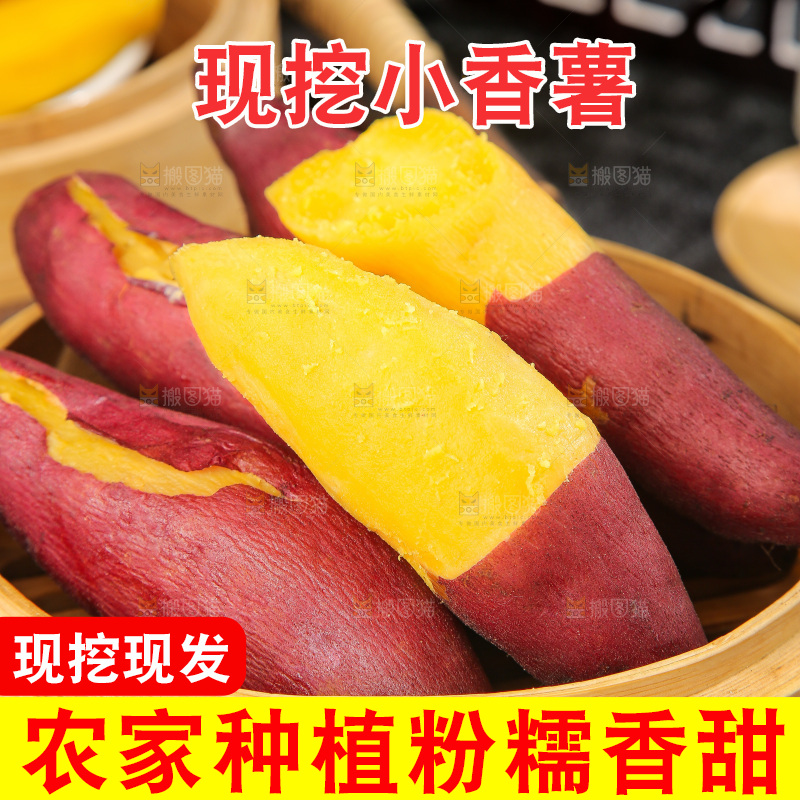 深底上的天目山小香薯