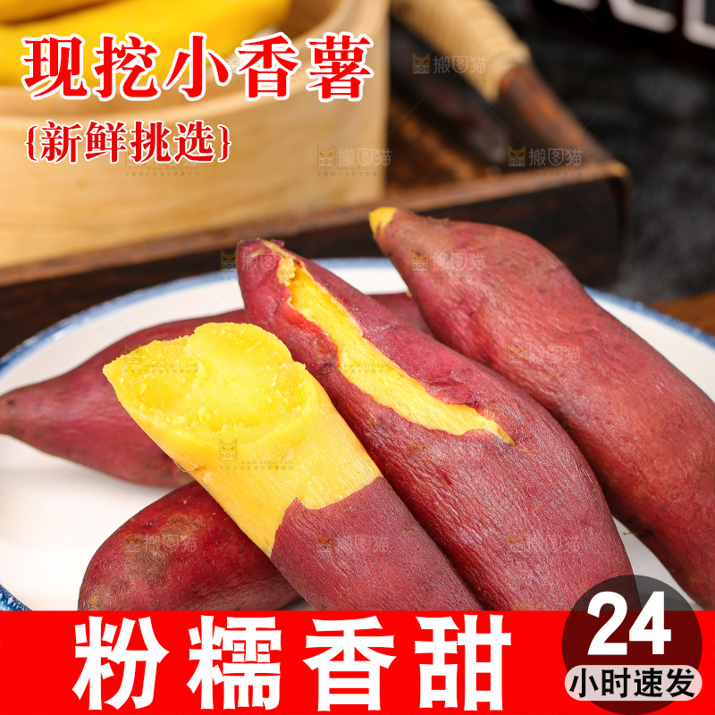 深底上的天目山小香薯