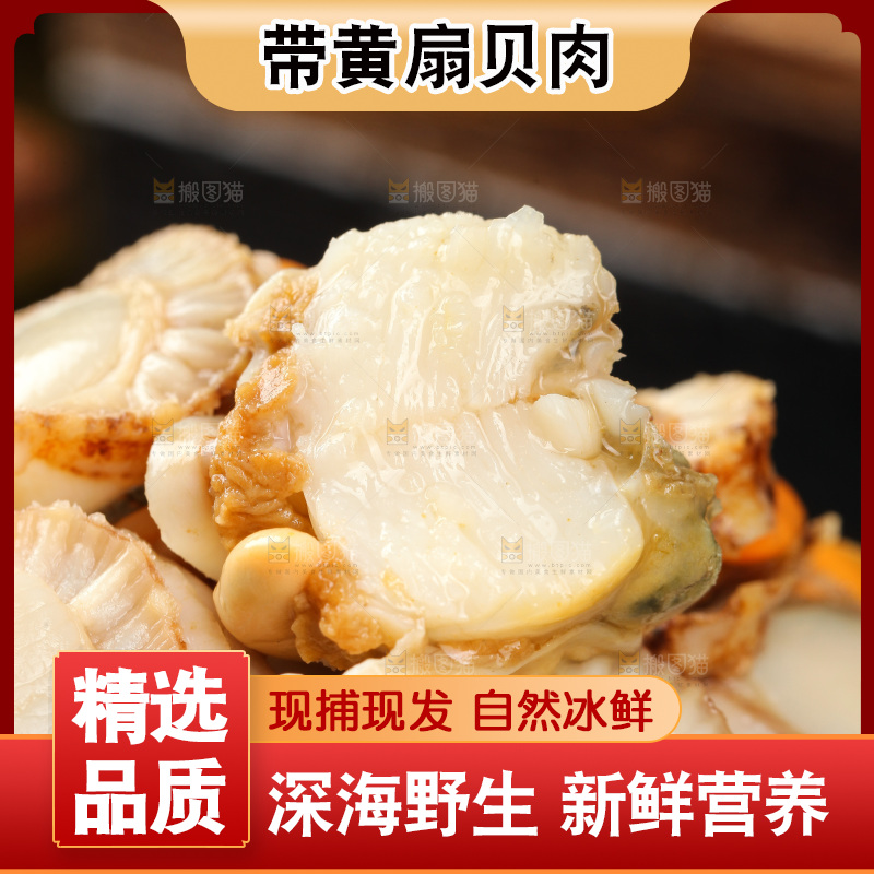 深底上的带黄扇贝肉