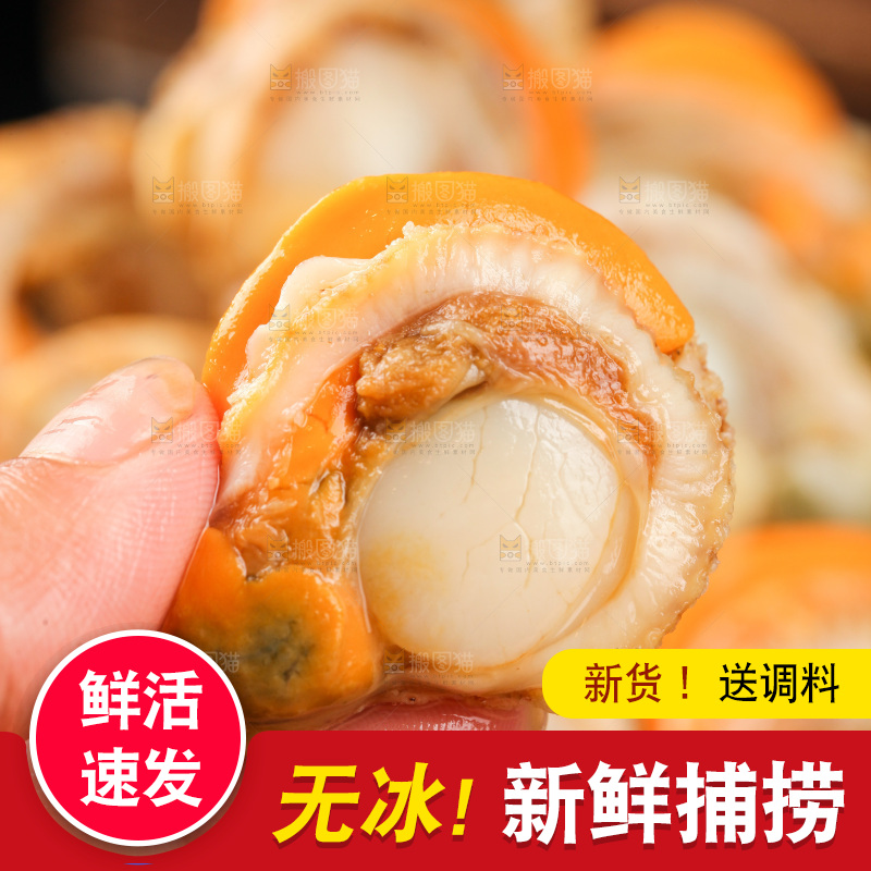 深底上的带黄扇贝肉