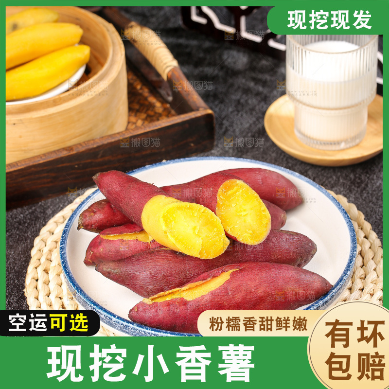 深底上的天目山小香薯