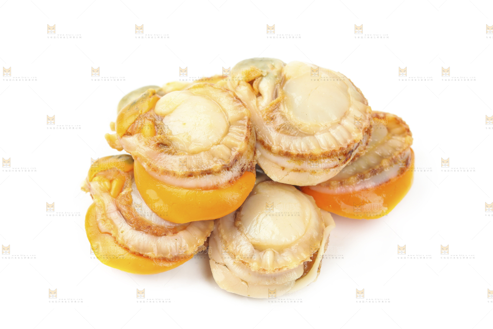 白底上的带黄扇贝肉