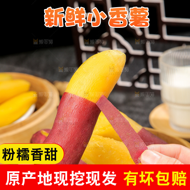 深底上的天目山小香薯
