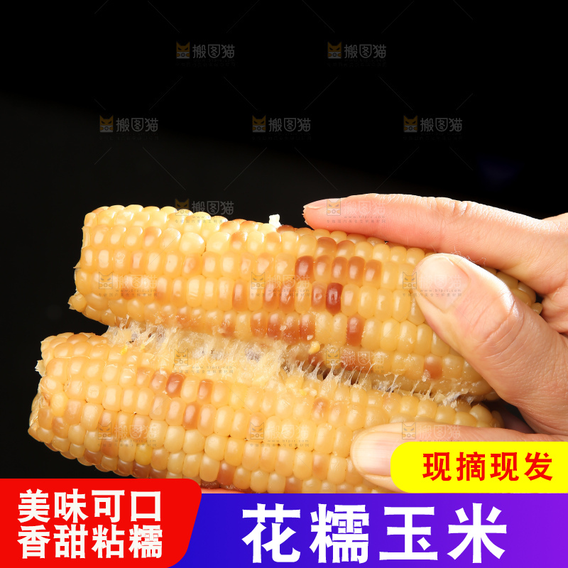 深底上的花糯玉米