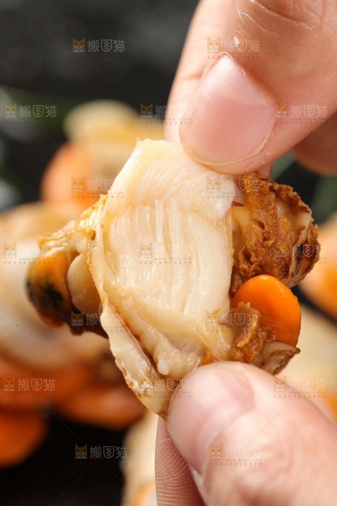 深底上的带黄扇贝肉