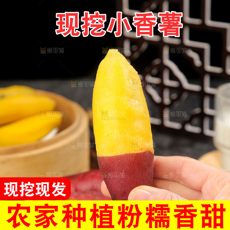 深底上的天目山小香薯