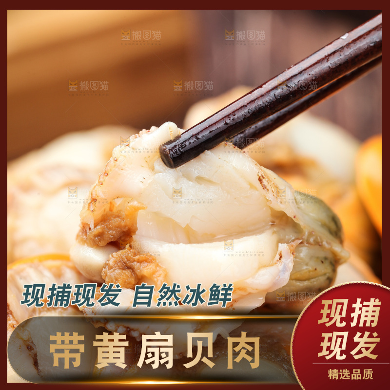 深底上的带黄扇贝肉
