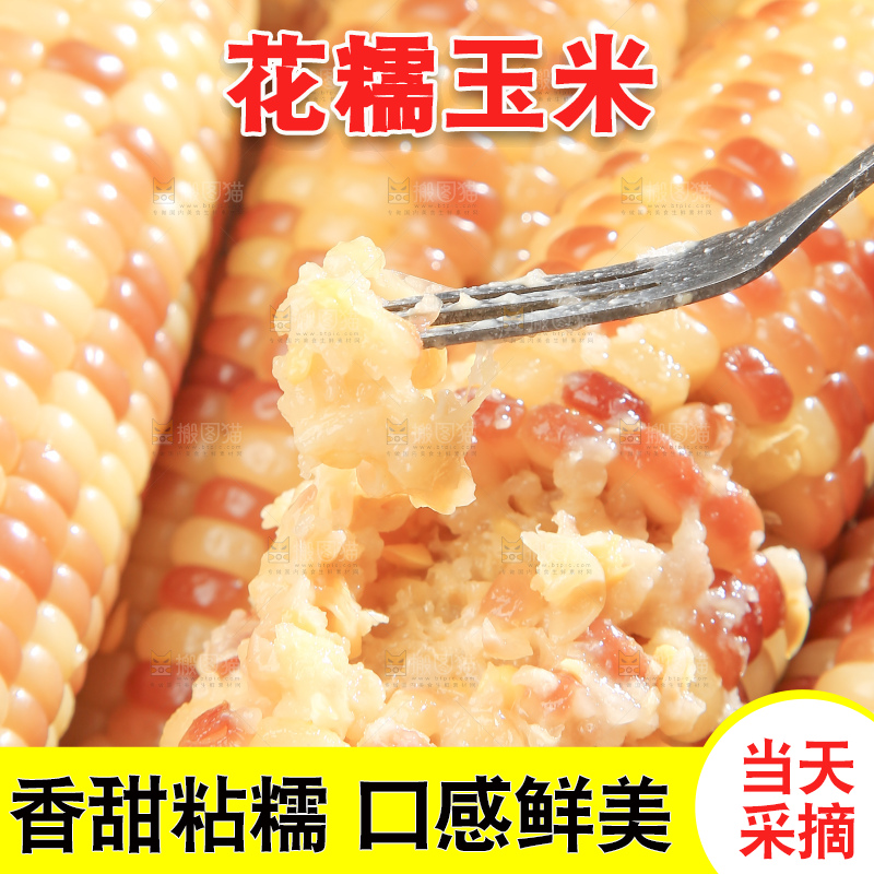 深底上的花糯玉米