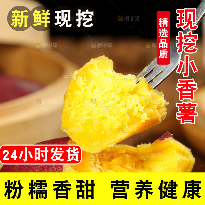 深底上的天目山小香薯