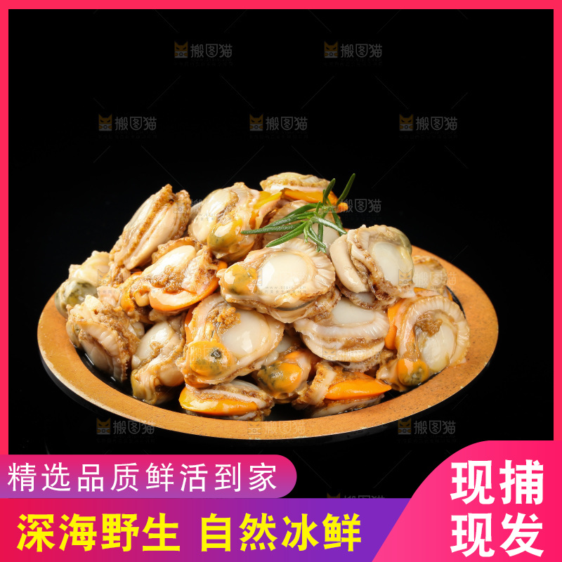 深底上的带黄扇贝肉