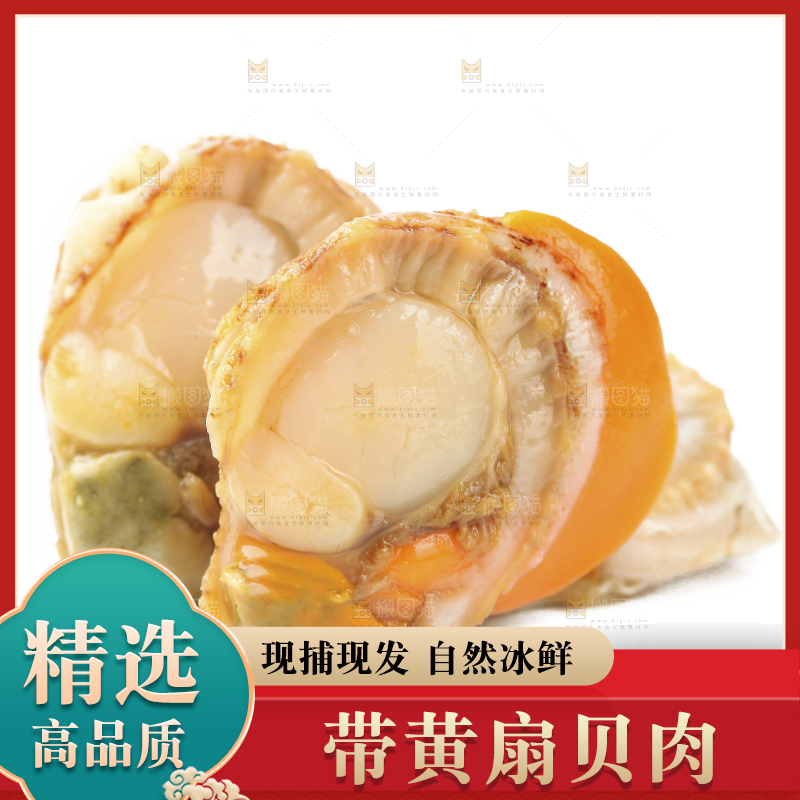 白底上的带黄扇贝肉