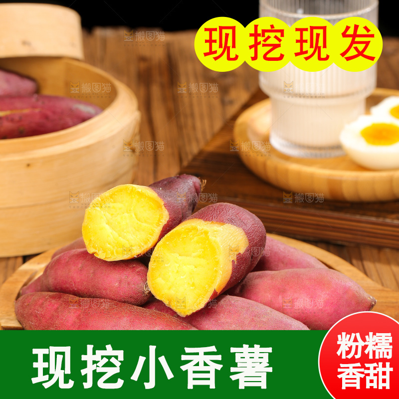 深底上的天目山小香薯