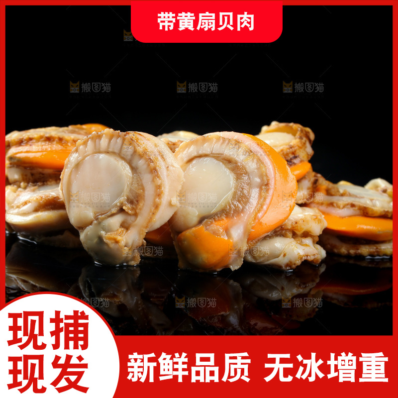 深底上的带黄扇贝肉