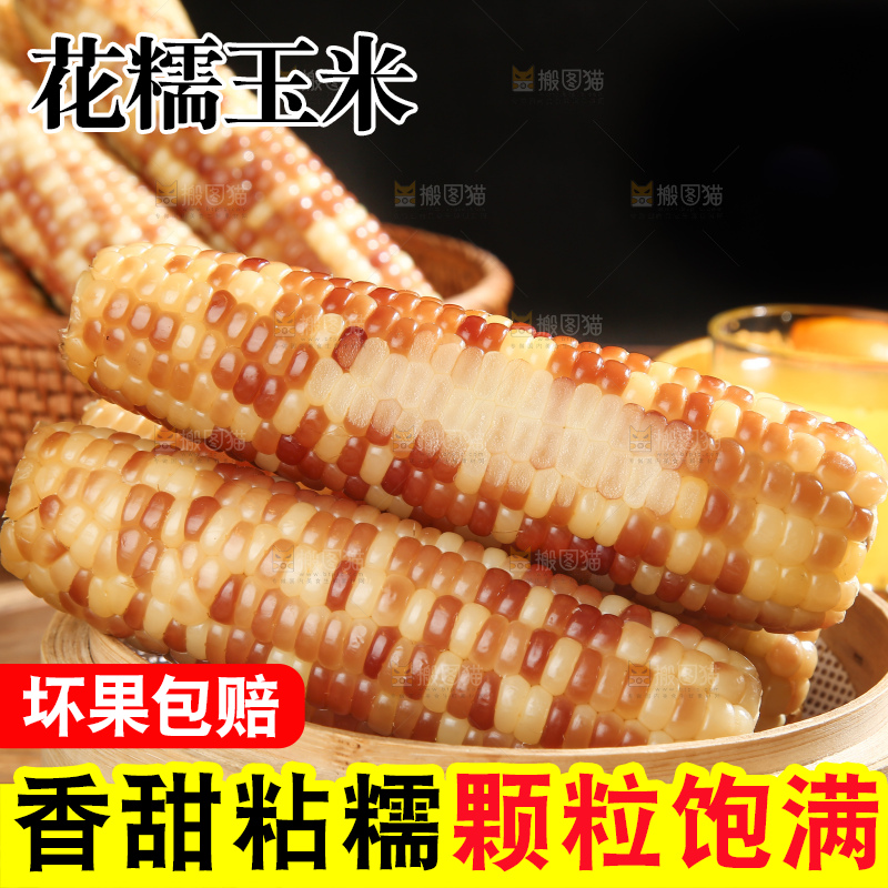 深底上的花糯玉米