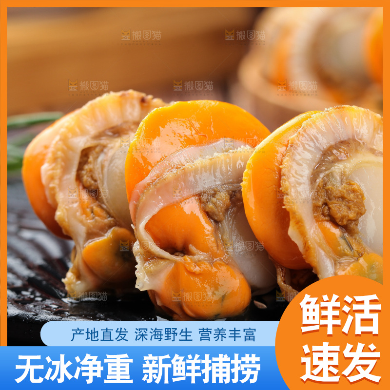 深底上的带黄扇贝肉