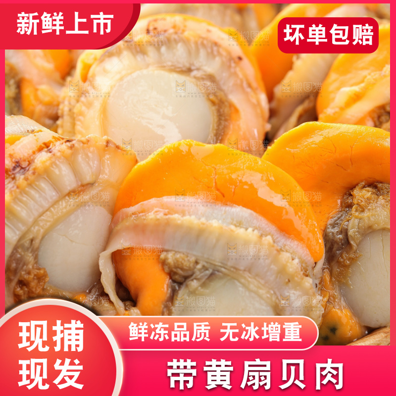 深底上的带黄扇贝肉