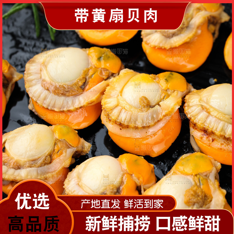 深底上的带黄扇贝肉